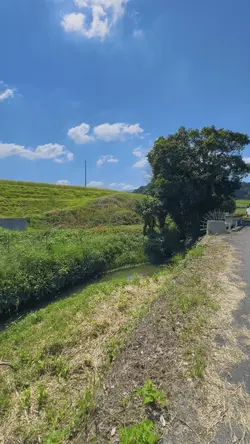 秋の気配