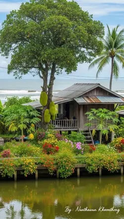 นักร้องพเนจร