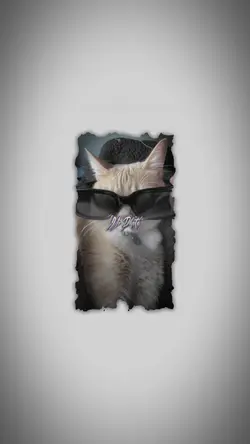 ไม่ค่อยตรง