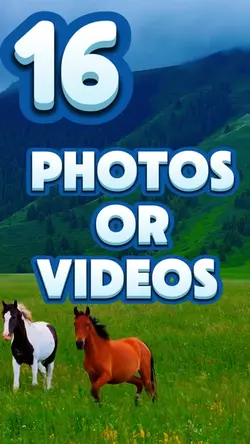 16 Photos Or Videos 