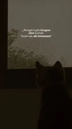 Aesthetic