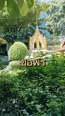 พี่โอเล่