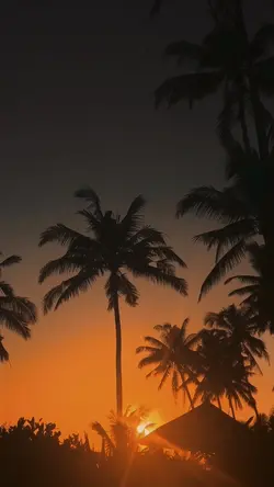 6 Clips Sunset