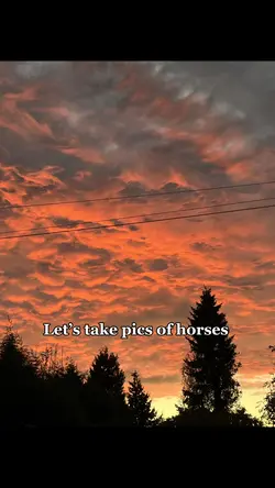 Let’s take pictures