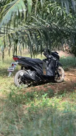 Sawit