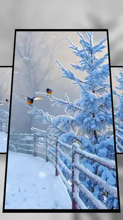 winter aesthetic