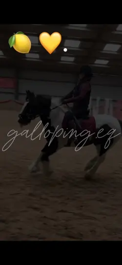 competition on bell💛