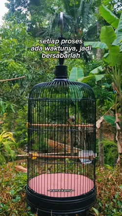bahan story