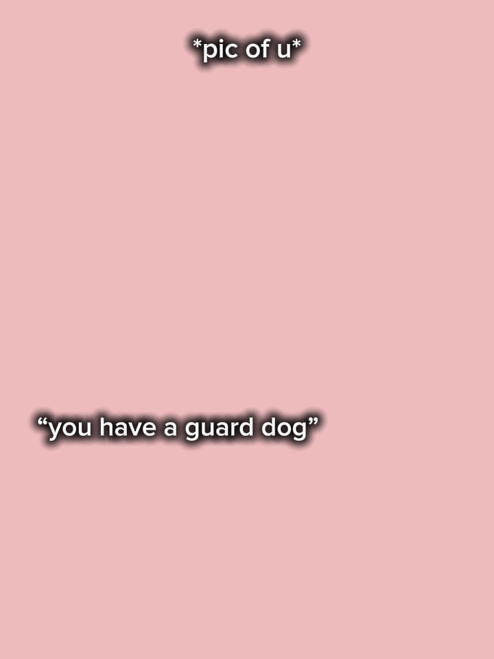SIE HABEN EINEN HUND