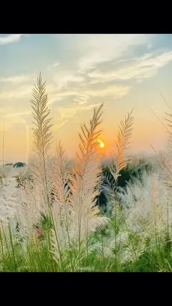 Slow motion video ❤️‍🔥✅