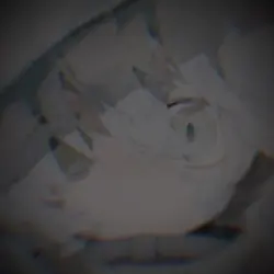 기다려 가지 마