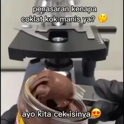 Dalam Mikroskop
