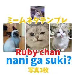 ナニがスキ？ 写真3枚