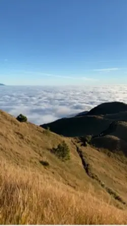 Mt.Pulag ⛰️🍃