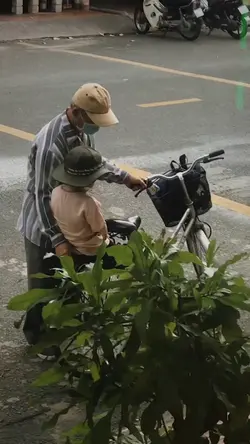tentang ayah