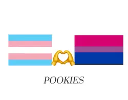 trans+bi