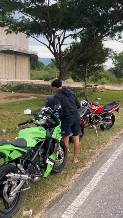 Meletus balon hijau