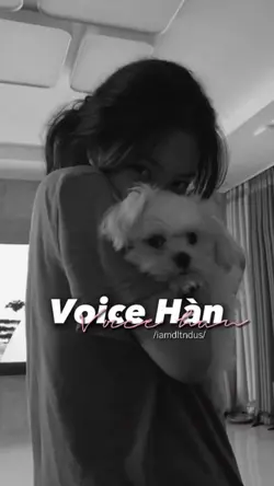 Voice Hàn 