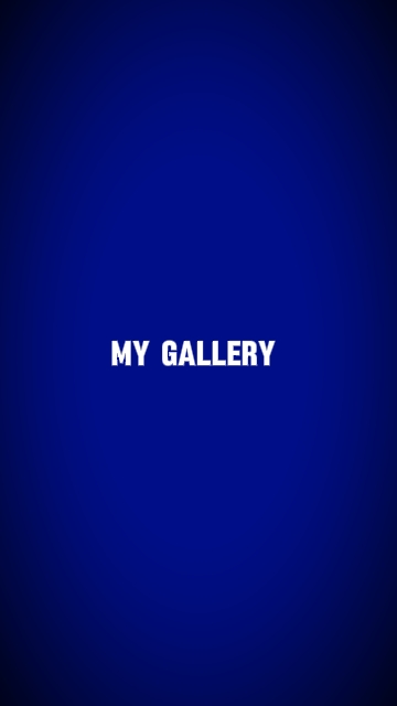ma galerie 