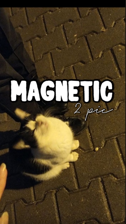 [2] MAGNÉTICO