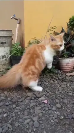 Mini Munchkin Moment