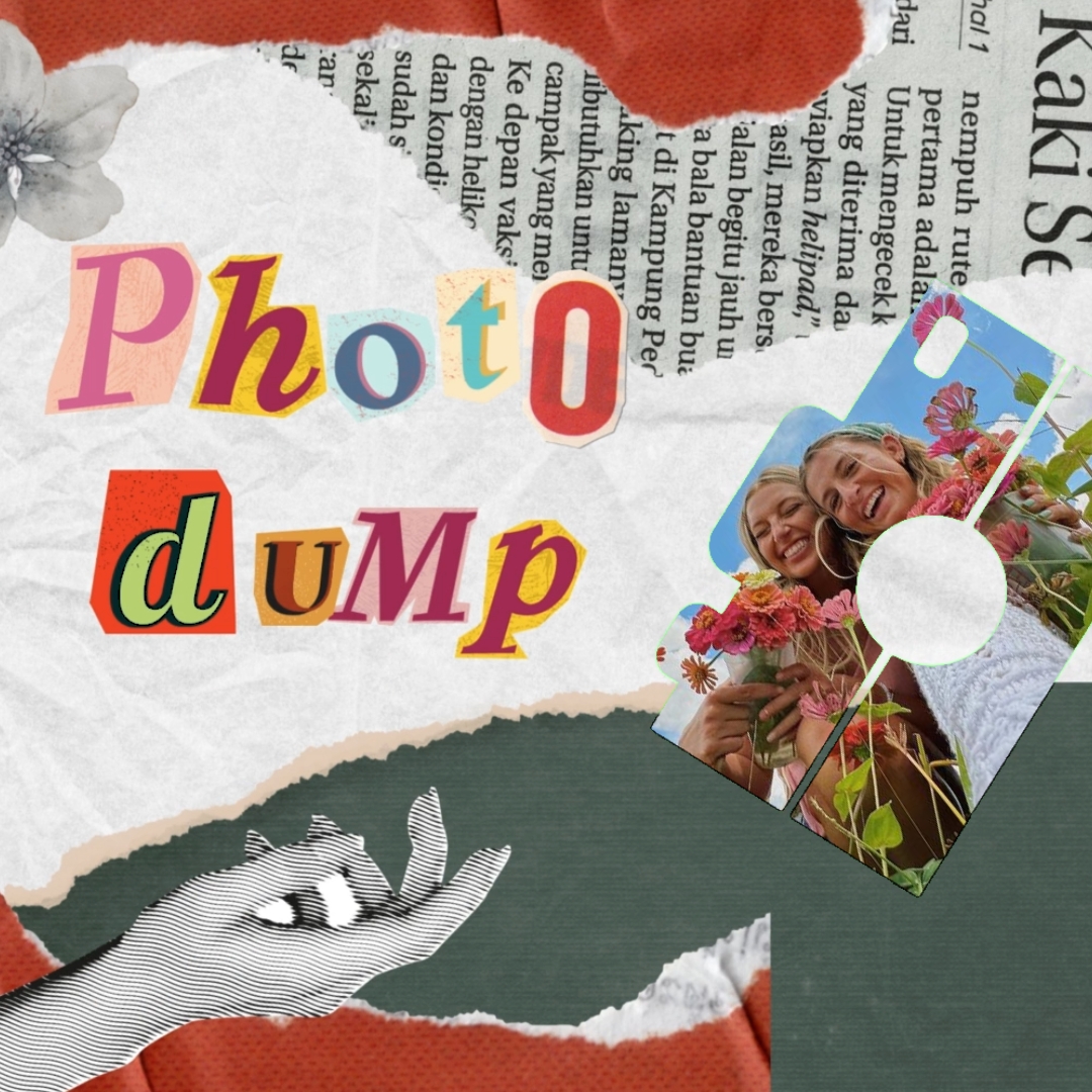 Photo Dump !