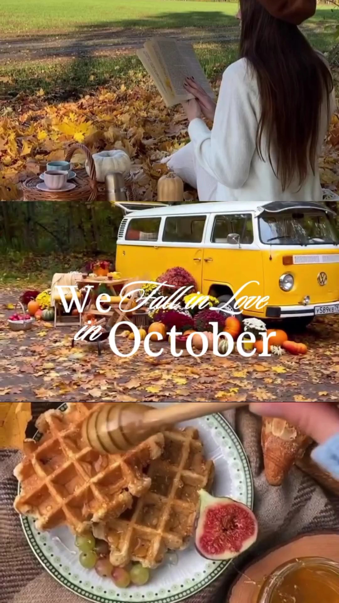 Autumn Vibes