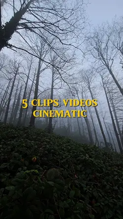 5 videos cinematic