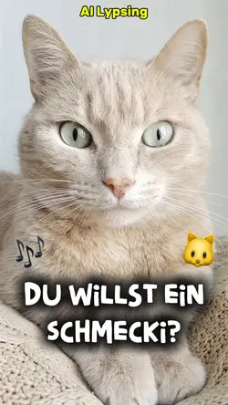 Katze Lustig Lypsync