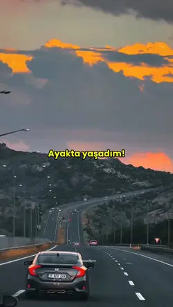 Yeni Şablon