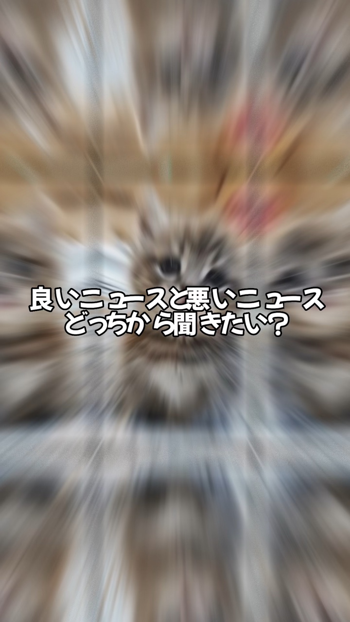 嫌いな人に送り付けちゃえ！  