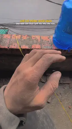 Chỉ có đứng dưới mưa