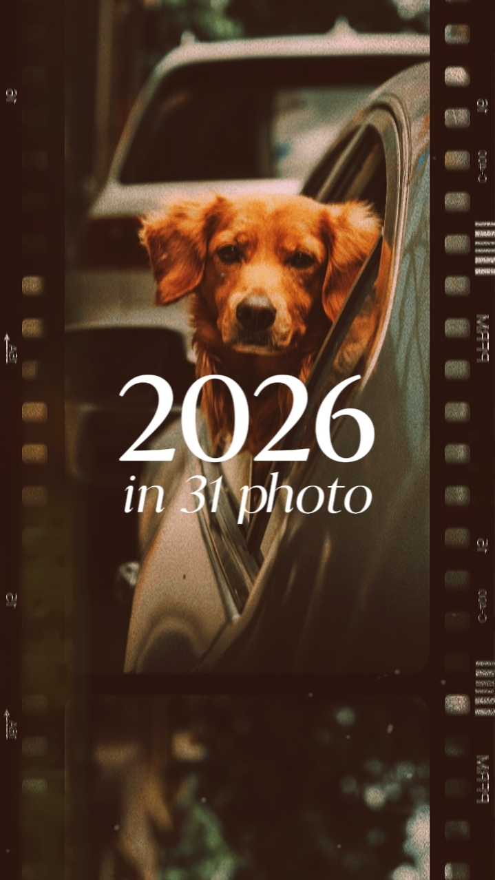 2026 in 31 photo