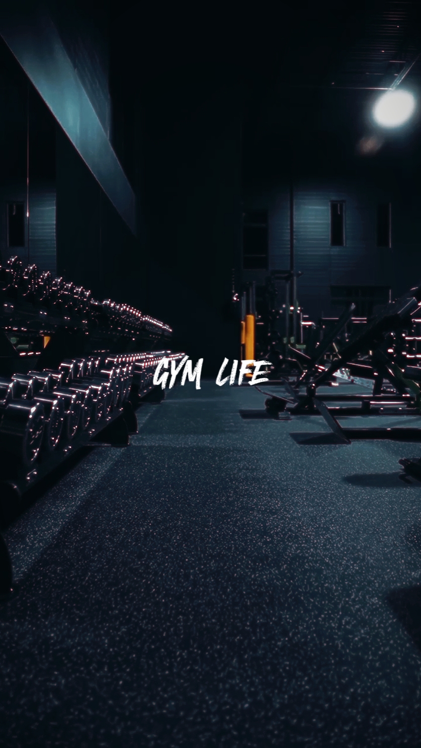 Gym life | 7 vidéos