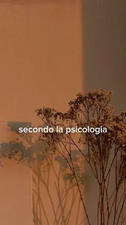 Il vero significato 