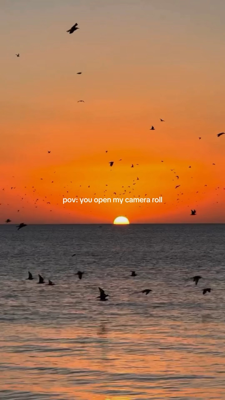 pov: kamera rulom