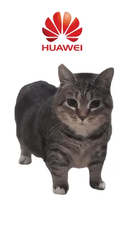 HUAWEI Ringtone