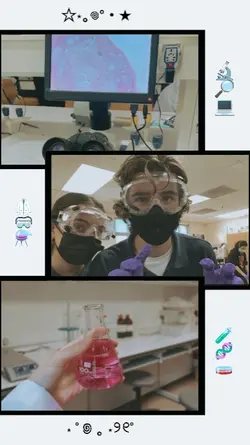 laboratory template 