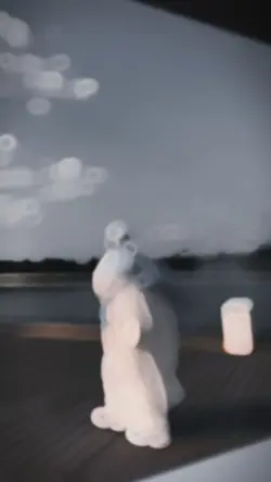 New Slowmotion 🔥🌸