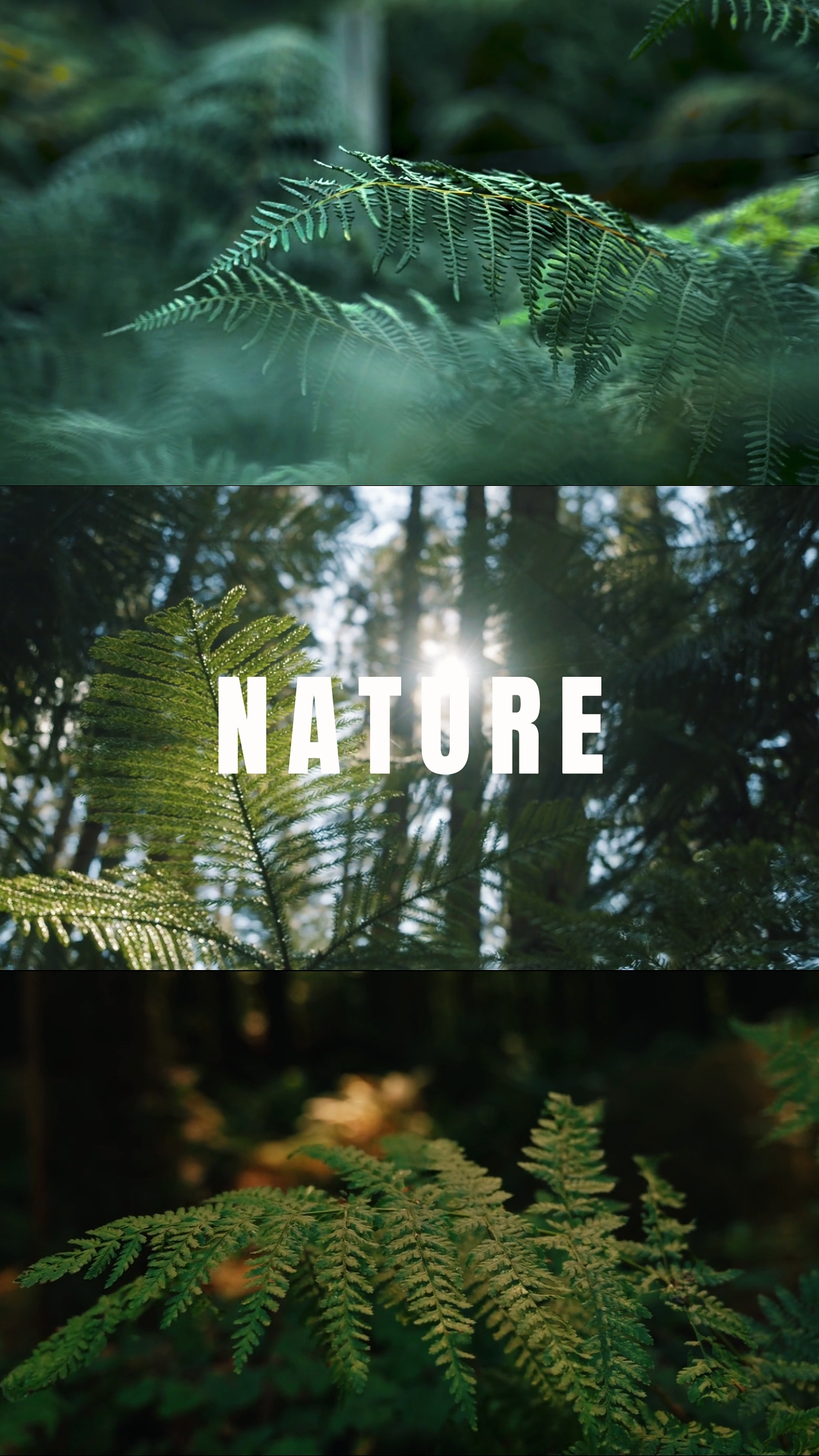 Nature