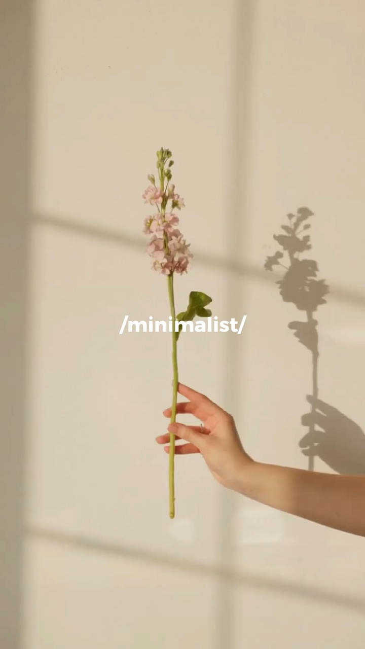 Minimalista 1.1