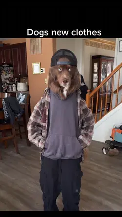 Dogs new clothes 
