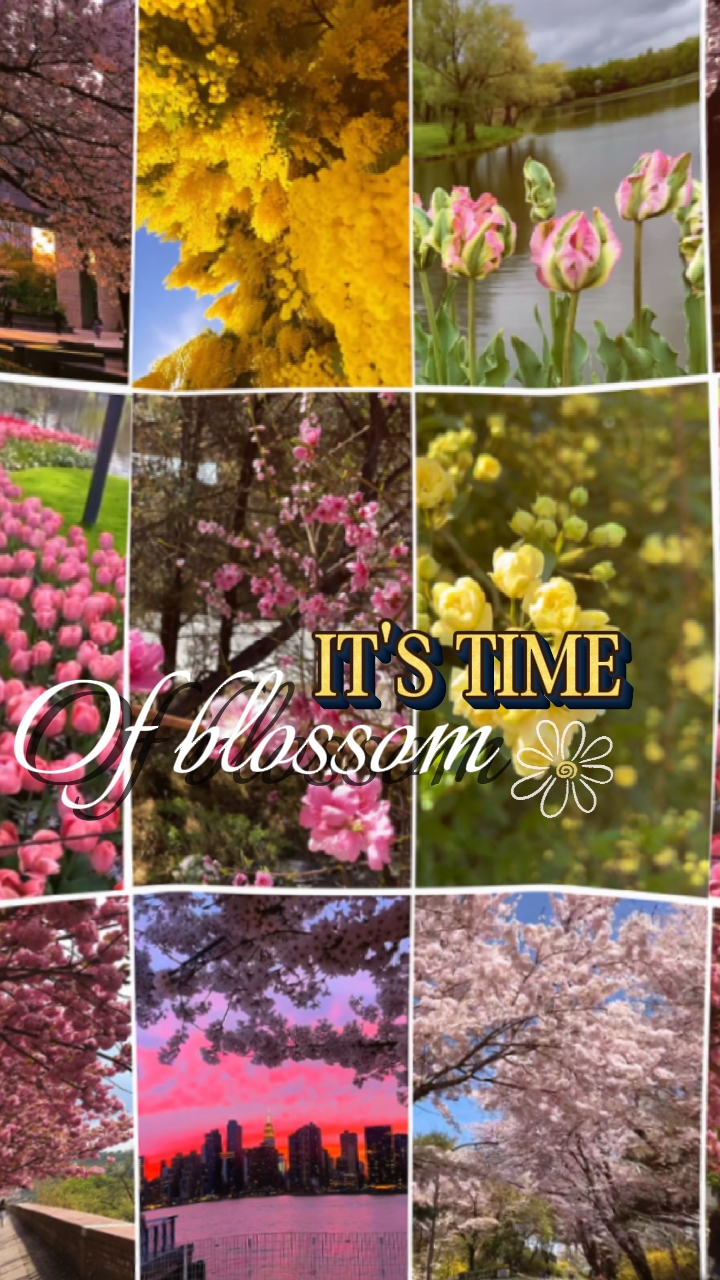 c'est le temps de la floraison