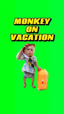 Vacation 