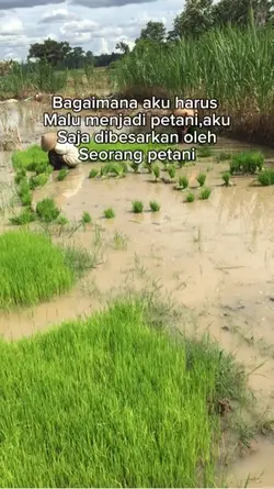 bahan SW