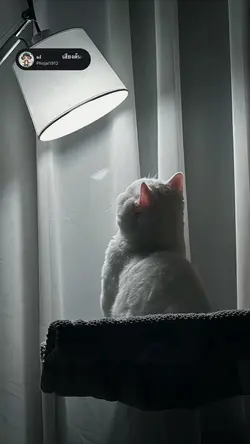 ต่าง