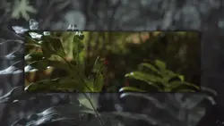 8 CLIP'S AESTHETIC