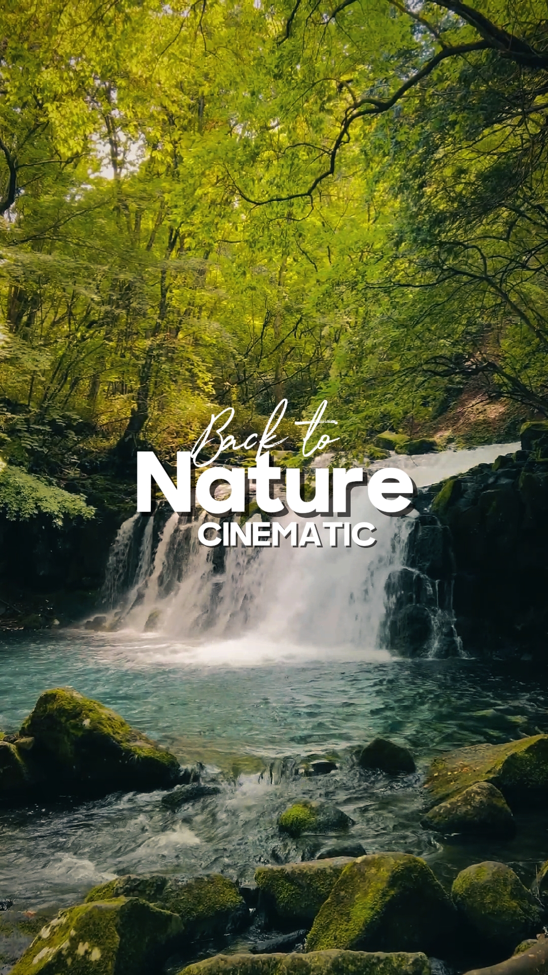 De volta à natureza