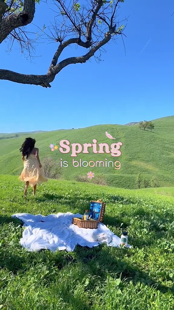 Der Frühling blüht
