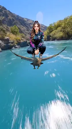 🦅 şablonu